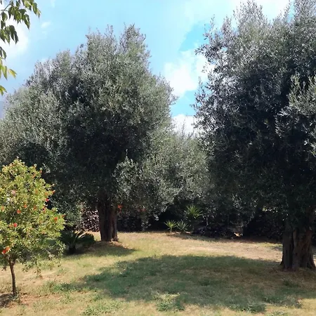 Valia Seaside Willa *