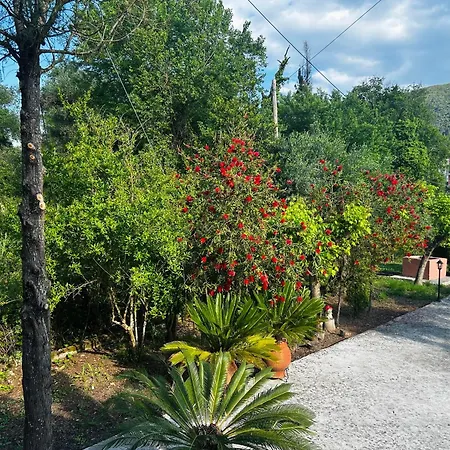 Valia Seaside Villa Ipsos